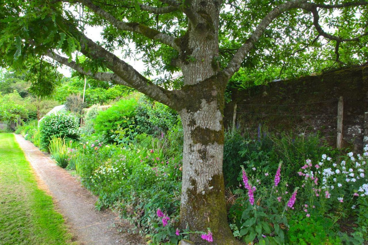 Willowhill House Minane Bridge Exterior photo